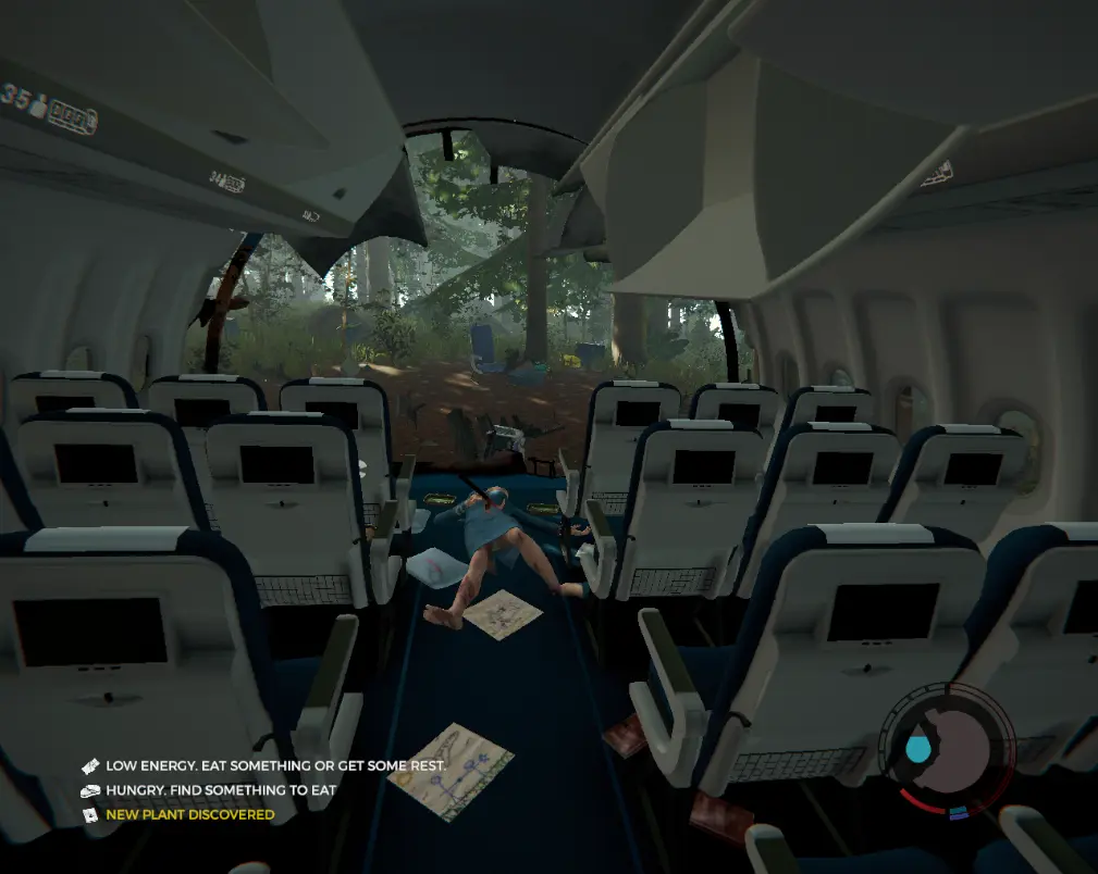 The Forest: Rough Landing (Frame Reference)